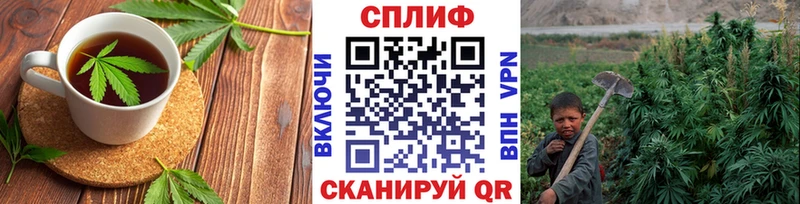 Купить закладки  Вельск  Печенье с ТГК конопля 