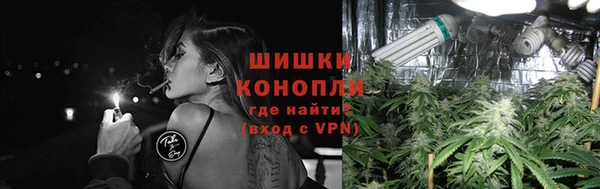 стаф Инта