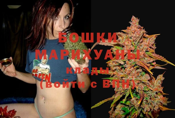 молекула духа Инсар