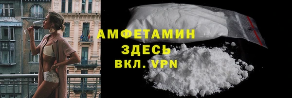 стаф Инта