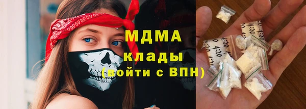 стаф Инта