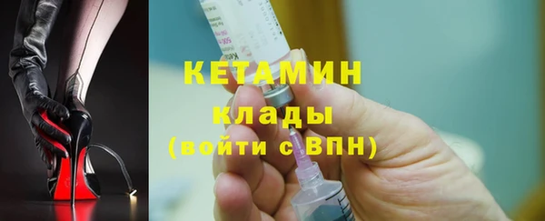 стаф Инта