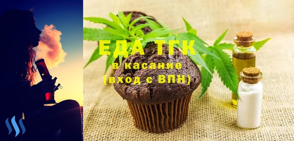 стаф Инта
