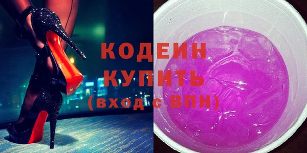 стаф Инта
