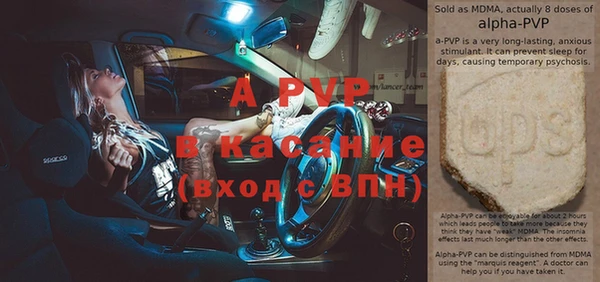 стаф Инта