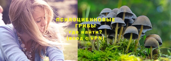 стаф Инта