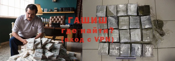 стаф Инта