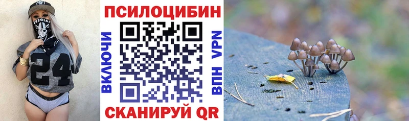 Купить  Вельск  Галлюциногенные грибы Psilocybine cubensis 